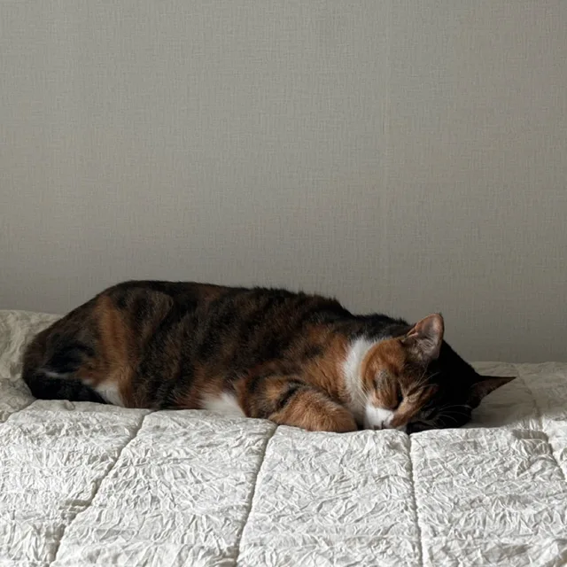 라라