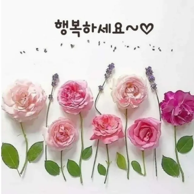 별똥별