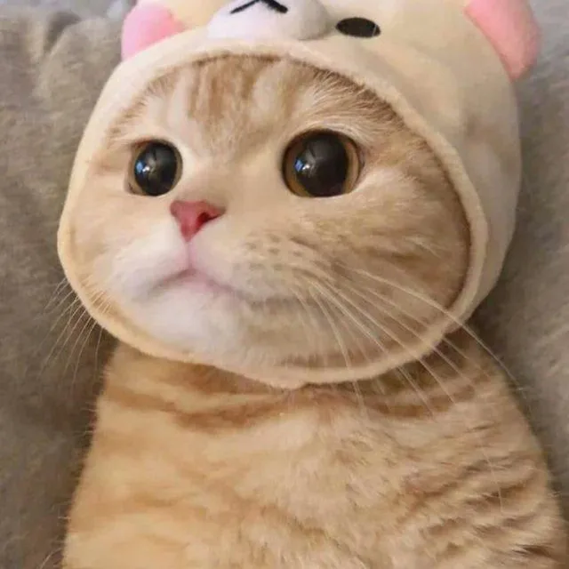 꽃이좋은토끼