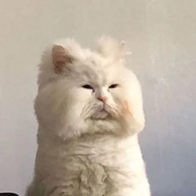 마음의양식