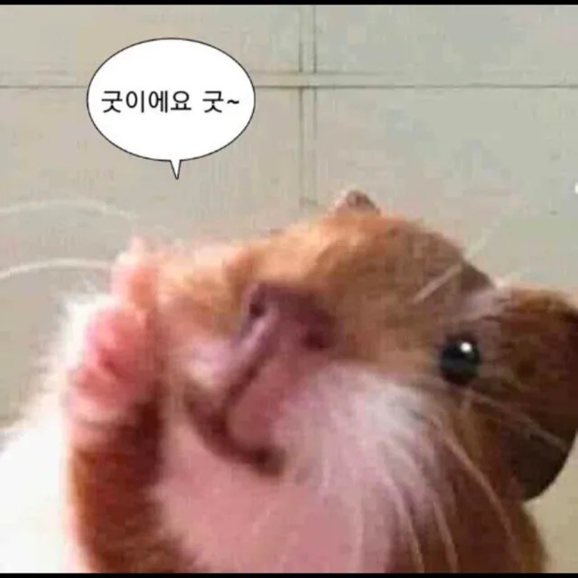 알감쟈