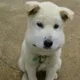s2z