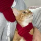 심바맘