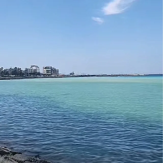 샷샷