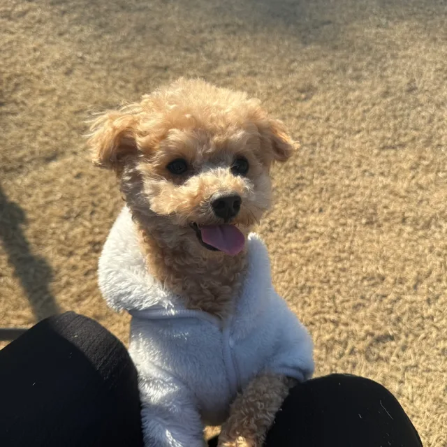 나랭