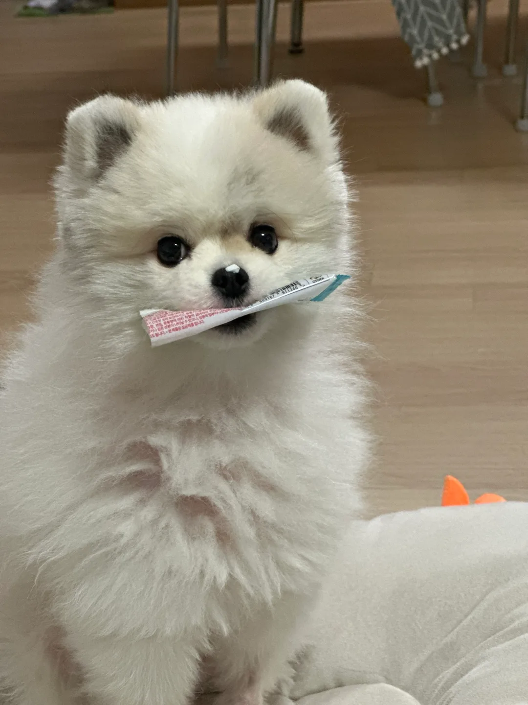 찬이엄마