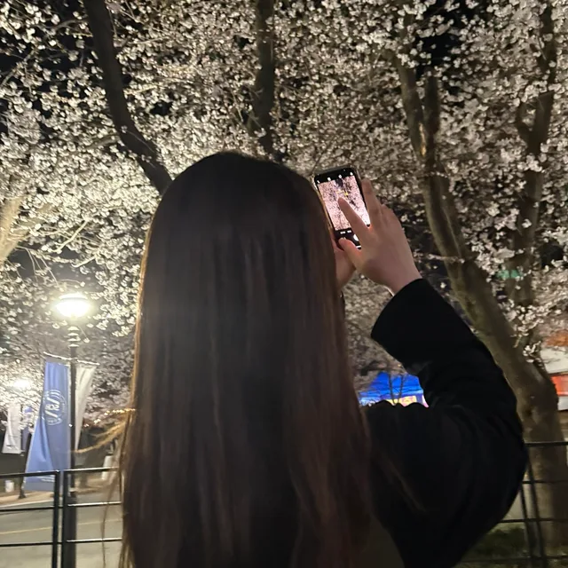 체리