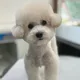 굳세어라꼬맹아