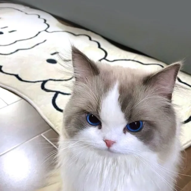 달려야하니