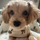 보리마루