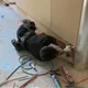 청년목수Ms