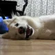 한강e