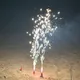 미니밍