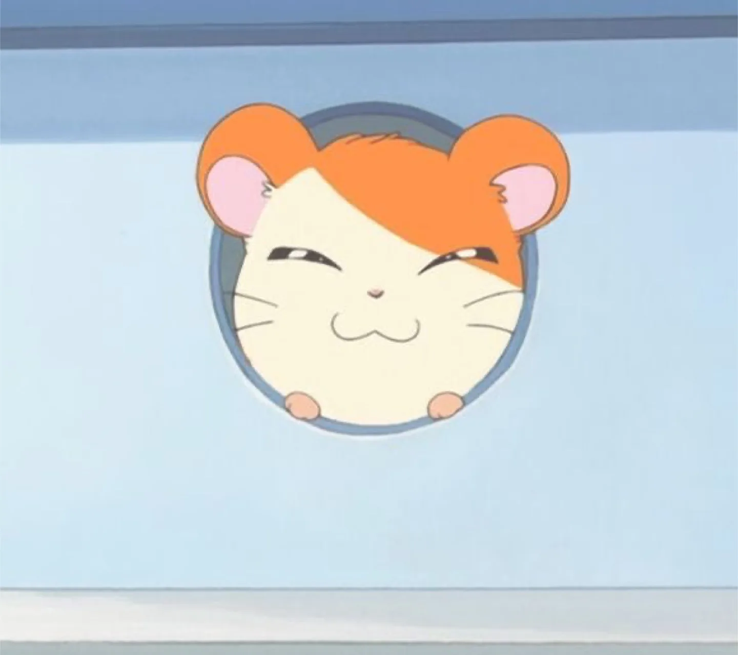 토리찡