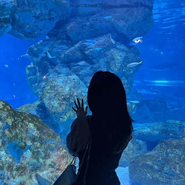밍멩몽