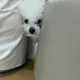 이클립스