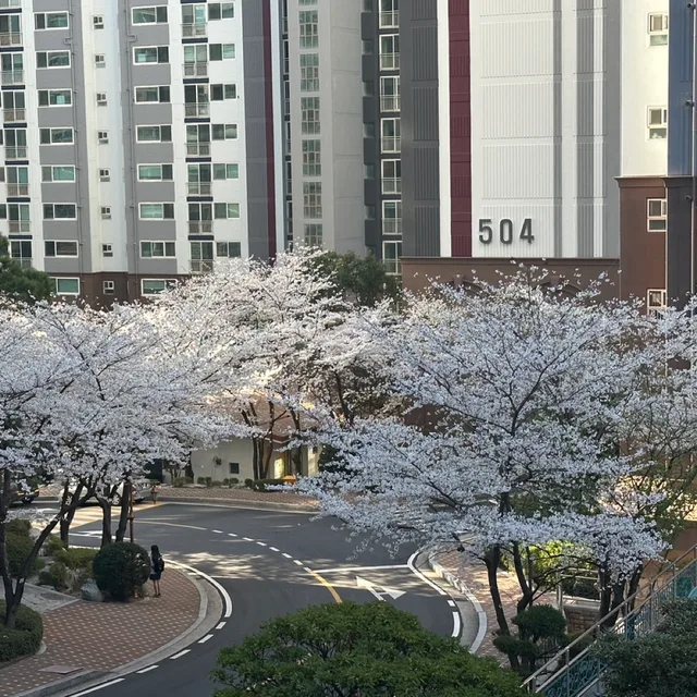 원모어타임