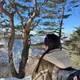 네넴