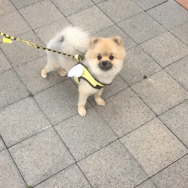 총각무신사닷컴