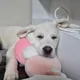 냉면사냥꾼