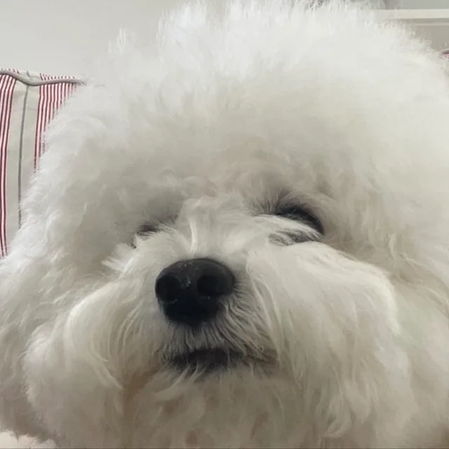 정리중