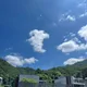 조니
