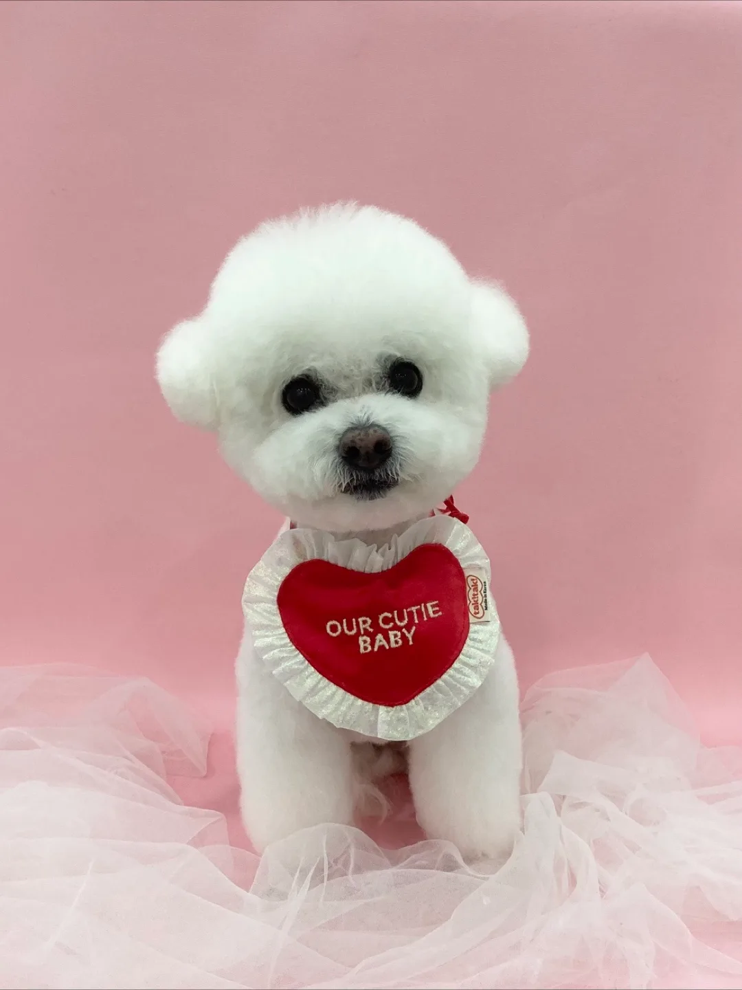 개몽이
