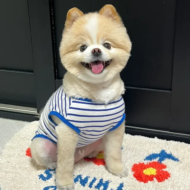 뚱이