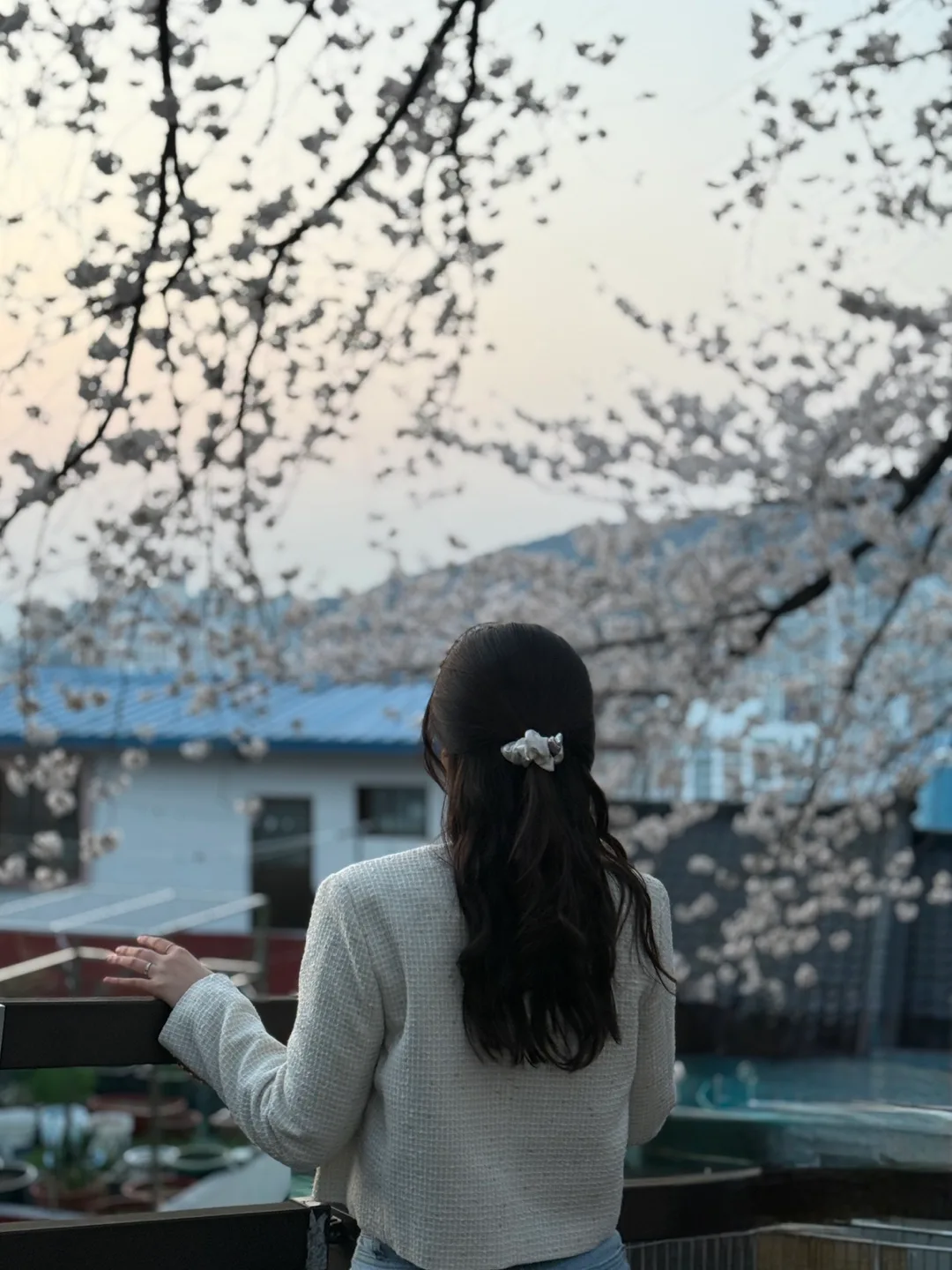 미야