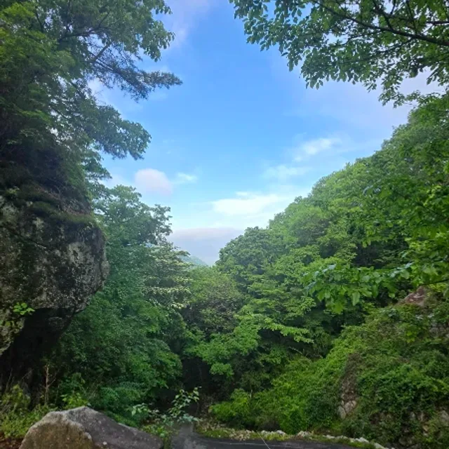 동그라미