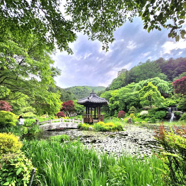 미아야