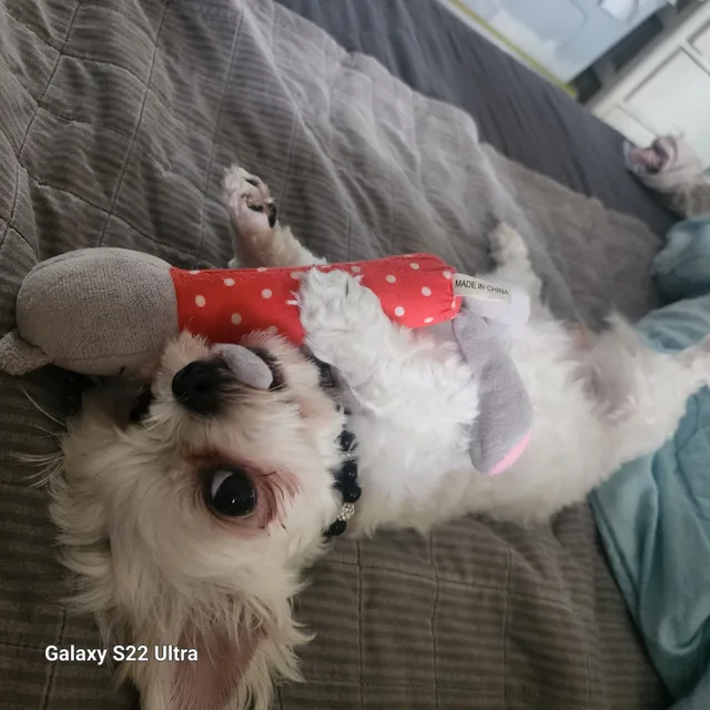 뭐냥