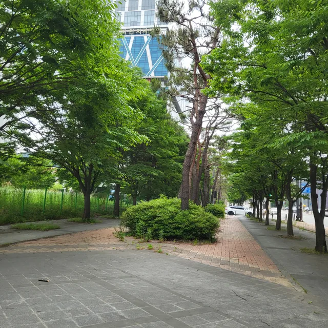 즐겁게