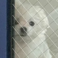 쌈뽕한라면