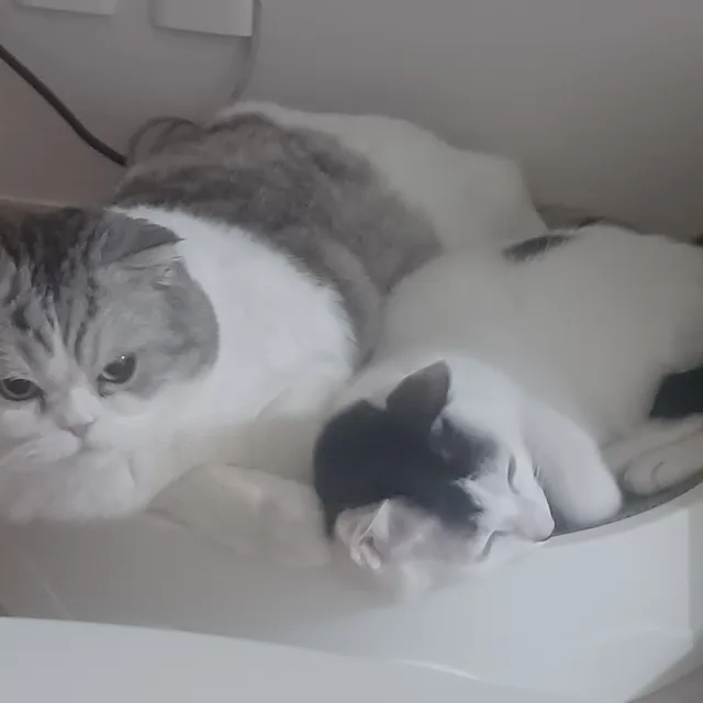 동방예의지국