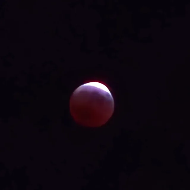 자바칩더줘요