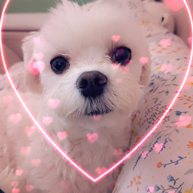 방울맘