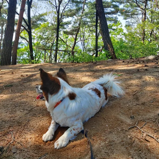ej