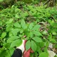 산이좋은사람