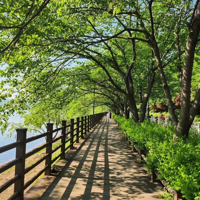 재표