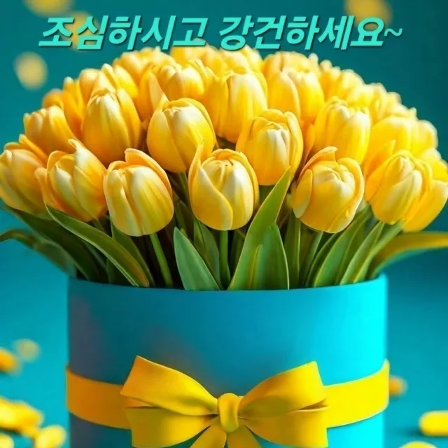 토끼