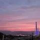소담소담