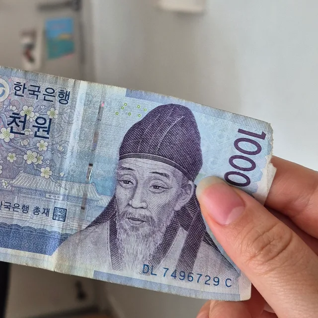 당근조하