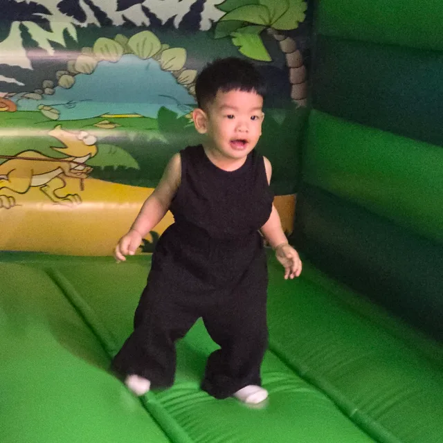 보그