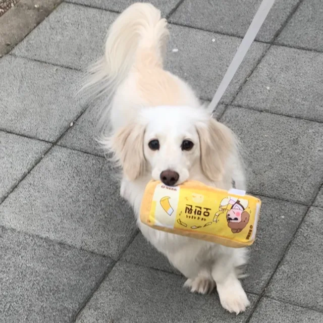 바기자기