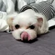썬바리1