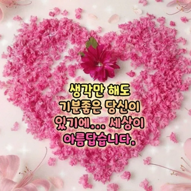이사정리중