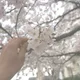 덥다요