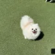 지수