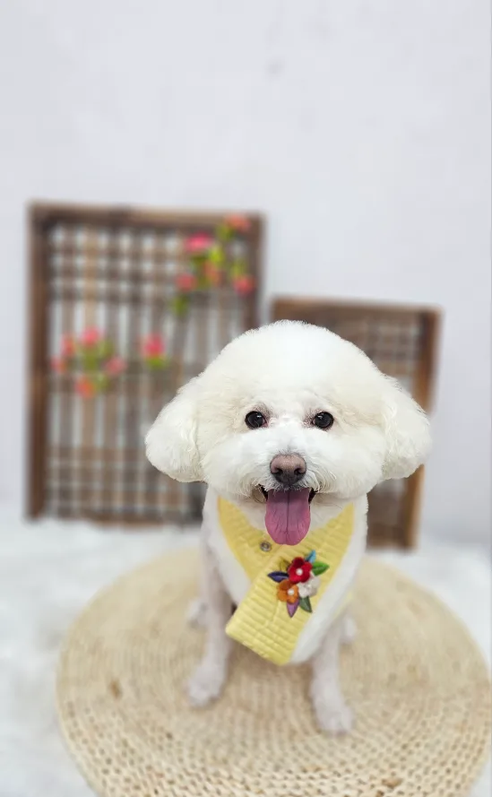 나무